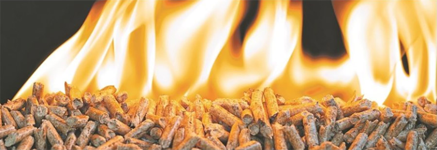 burning wood pellet