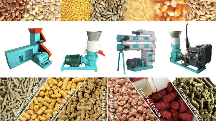 Precautions for the use of common feed ingredients