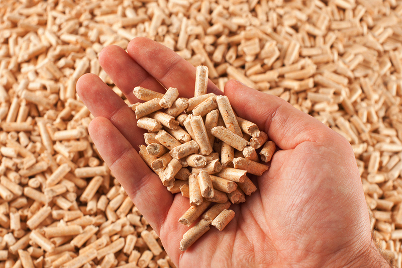 Green future is within reach: reveal the efficiency and environmental protection of wood pellet production line, open the door to wealth