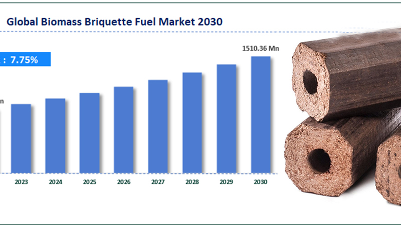 Analysis of growth drivers of the biomass briquette market