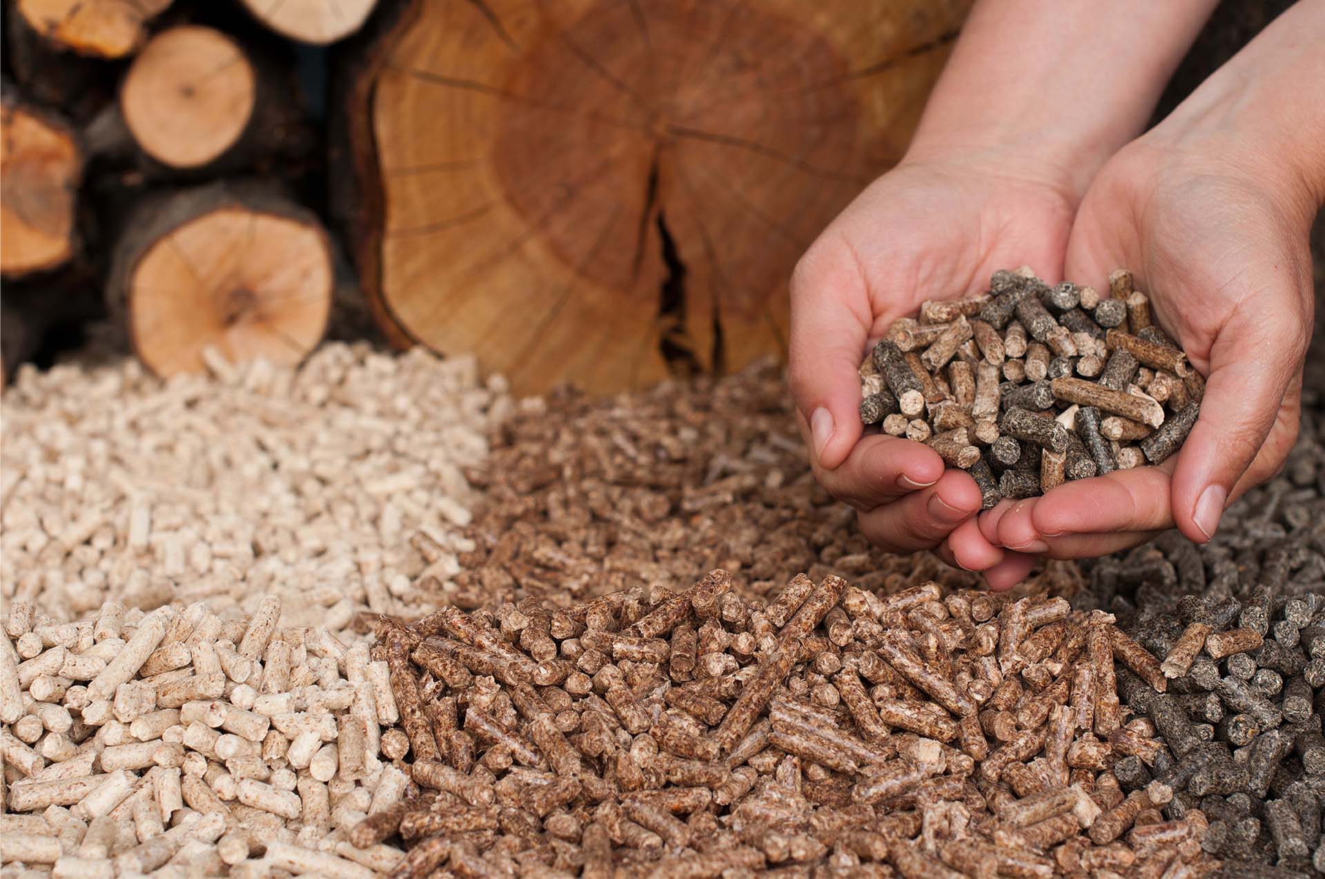 Unveiling the Biomass Briquette Market: The Future of Green Energy, or a Flash in the Pan?